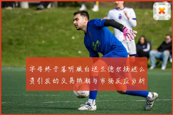 字母终于落听狼白送兰德尔杨这么贵引发的交易热潮与市场反应分析