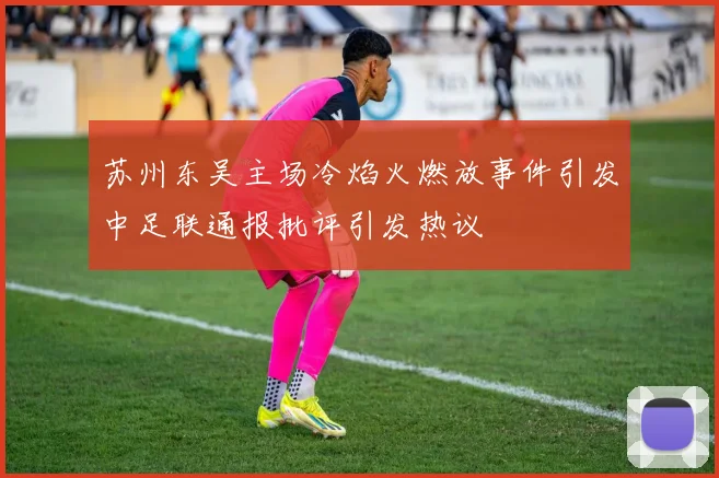 苏州东吴主场冷焰火燃放事件引发中足联通报批评引发热议